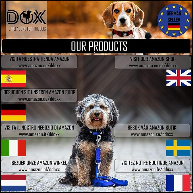 DDOXX Reflective Nylon Dog Collar - Strong and Adjustable Collars Dogs - XS (Black)