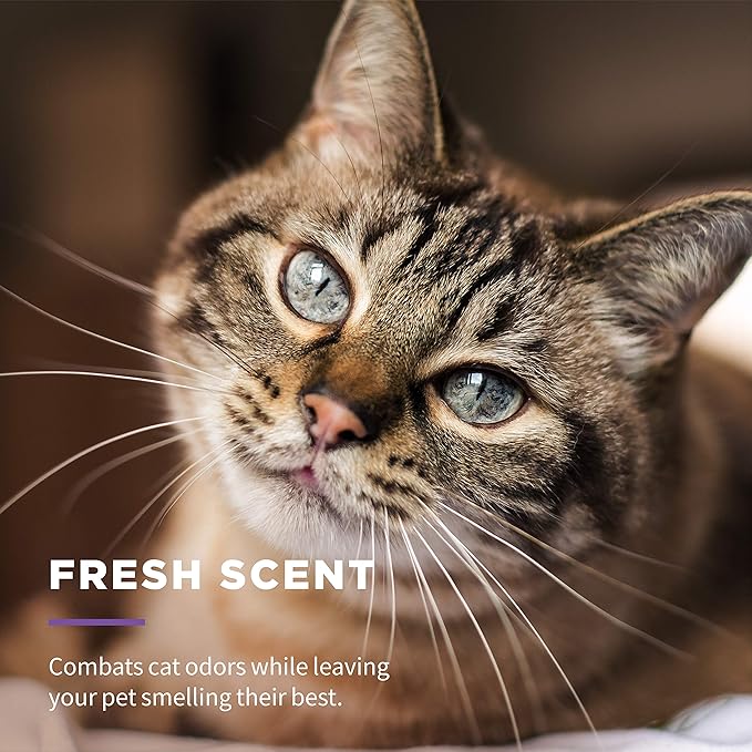 Wet Ones for Pets Freshening Multipurpose Wipes for Cats with Aloe Vera, Easy to Use Cat Cleaning Wipes, Freshening Cat Grooming Wipes for Pet Grooming in Fresh Scent (Pack of 12, 600 Count Total)