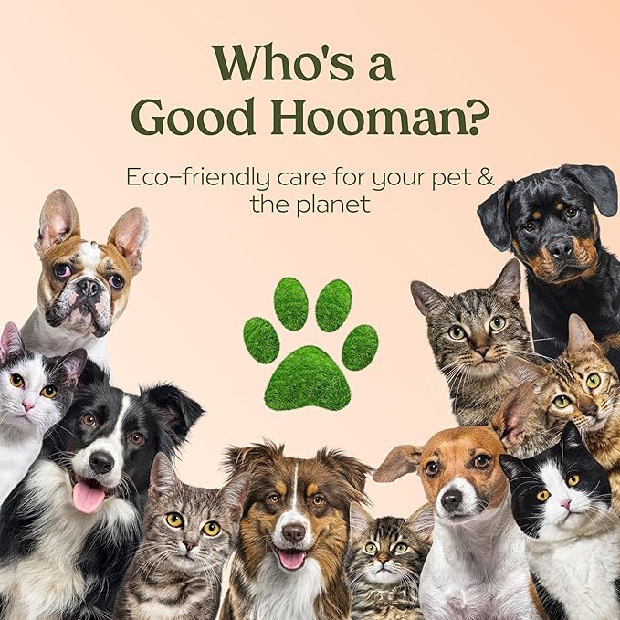 PAWFUME Dog Perfume Spray Long Lasting Scent for Grooming, Show Dog, 2-Pack – Keep Your Pup Fresh All Day – Hypoallergenic, Alcohol-Free, Detangling & Moisturizing – Salon-Quality Dog Cologne Spray