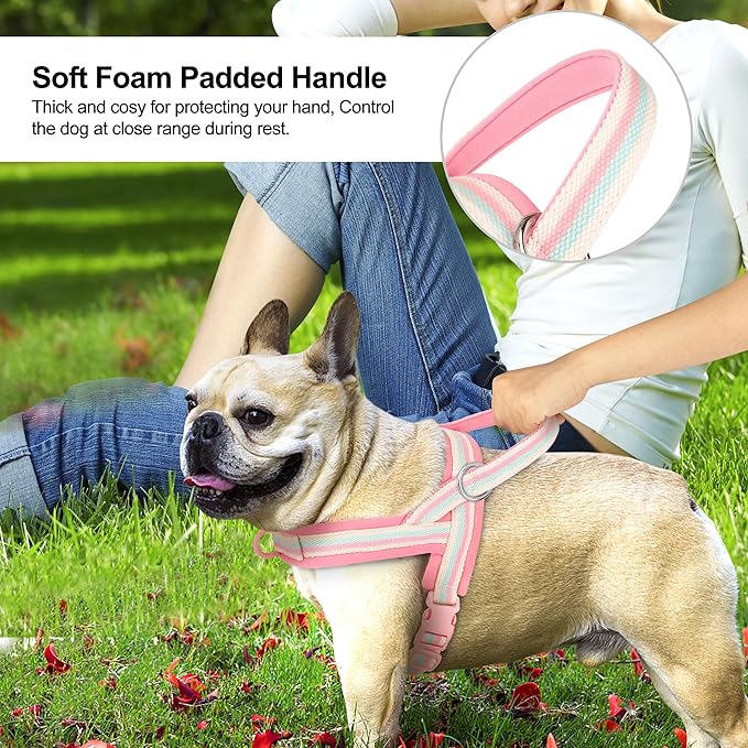 Beirui No Pull Dog Harness for Small Medium Dogs Puppies, Soft Neoprene Quick Fit Harness with Durable Front Clip & Back Clip, Lightweight Easy for Daily Walking (Striped Pink,XS)
