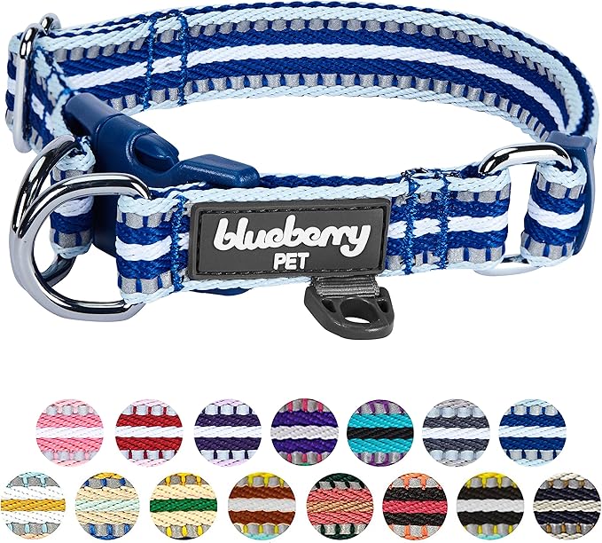 Blueberry Pet 3M Reflective Dog Collars | Adjustable Dog Collar w/Multi-Colored Stripe - Blue and White | Nylon Pet Collars for Dogs & Refflective Dog Collar for Small Dogs