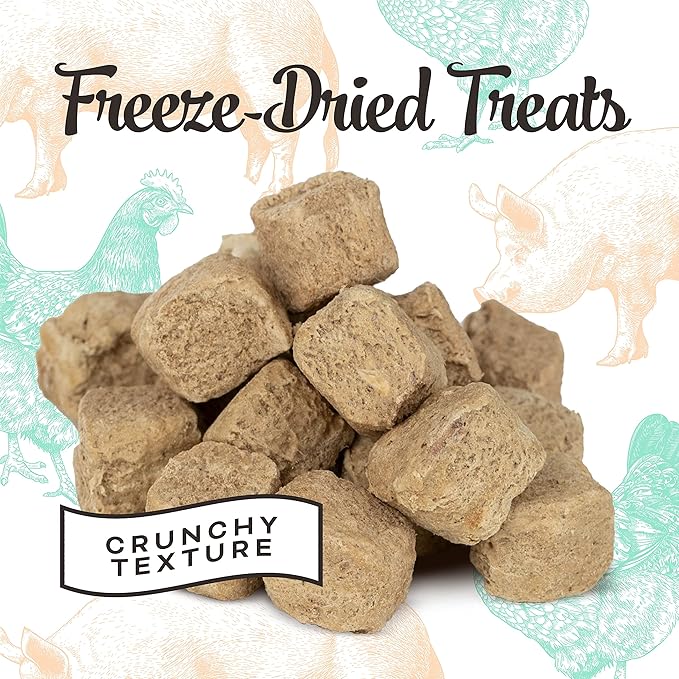 Primal Freeze Dried Dog Treats; Pork Liver Dog Treats with Probiotics for Dogs; Liver, Laugh, Love; Crunchy Grain Free Training Treats for Dogs, 1.5 oz (Pack of 2)
