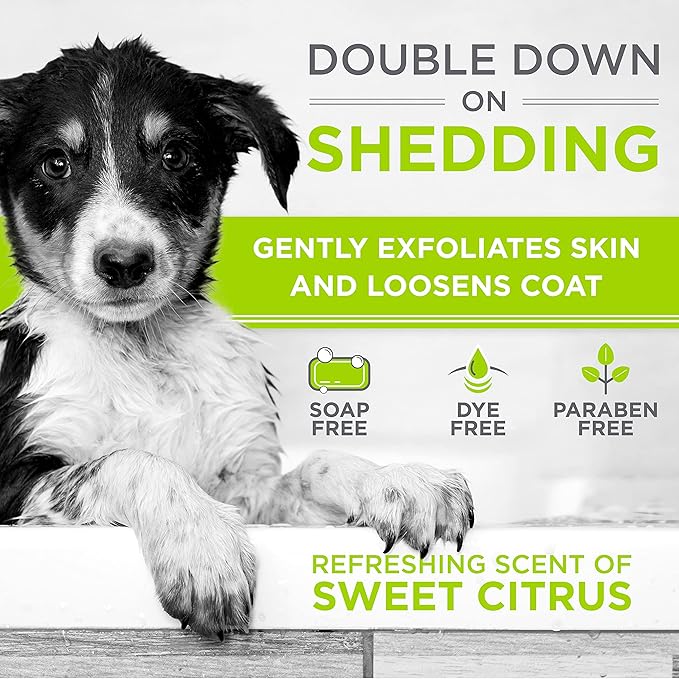 TropiClean Perfect Fur Deodorizing and Deshedding Dog Shampoo for Smelly Dogs, for Breeds with Long and Short Fur, Odor Control, Puppy Safe, 16oz.