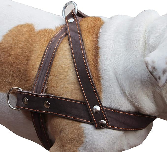 Brown Leather Dog Pulling Walking Harness Large. 31"-35" Chest, 1.5" Wide Straps