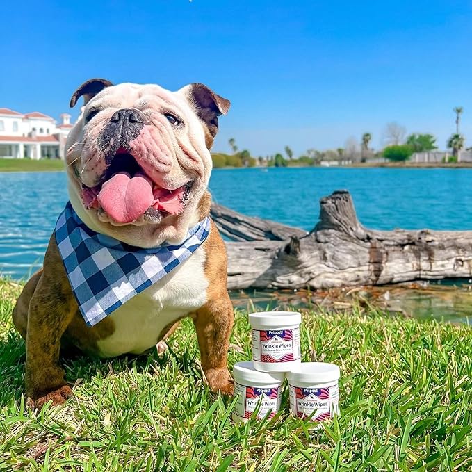 Petpost | Bulldog Wrinkle Wipes for Dogs - 100 Wipes - Cleans & Soothes Wrinkles and Pug Folds with Coconut Oil Solution 100 ct.