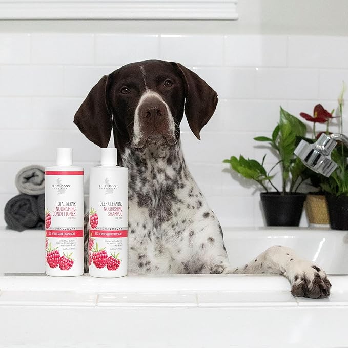 Isle of Dogs Deep Cleaning Shampoo, Sulfate Free, 16 Ounce (822-16)