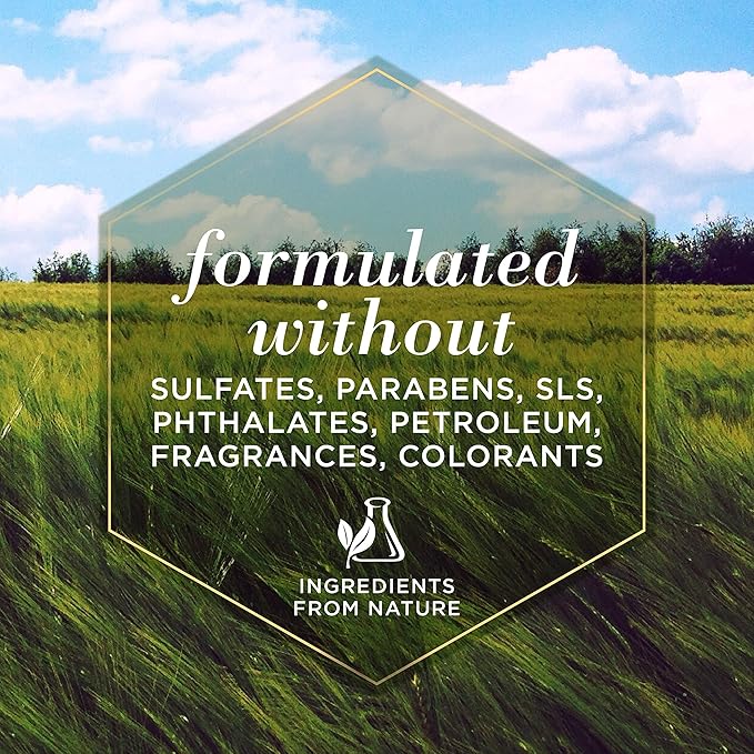 Burt's Bees for Pets Tearless Puppy Shampoo with Buttermilk, 2pk, 95% Natural Origin Formulas, Best Tearless Shampoo for Puppies - Gentle Dog and Puppy Shampoo Tear Free, 16 oz - 2 Pack