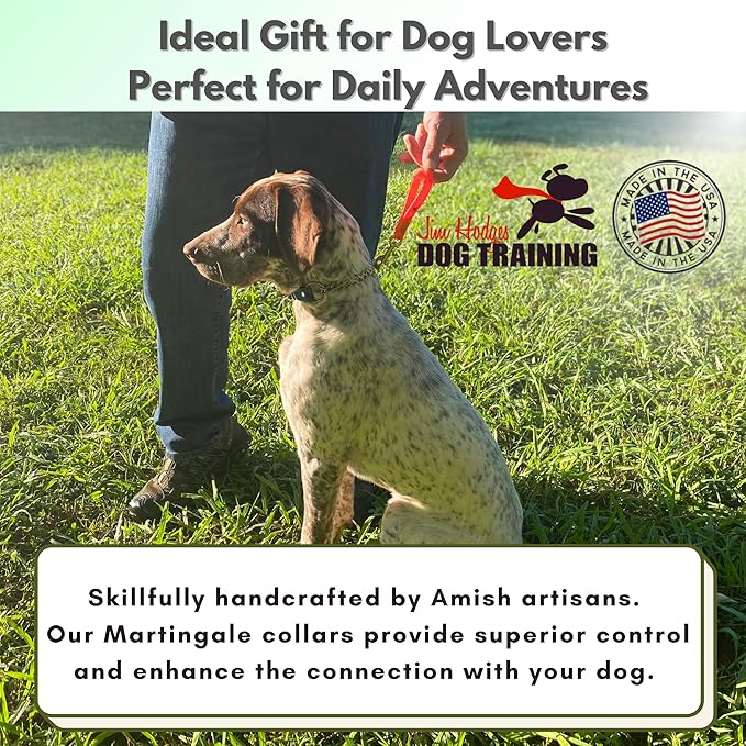 Martingale Collar for Dogs, Biothane, Stainless Steel Hardware, No Pull, Made in The USA, Professional Grade, Medium, Black