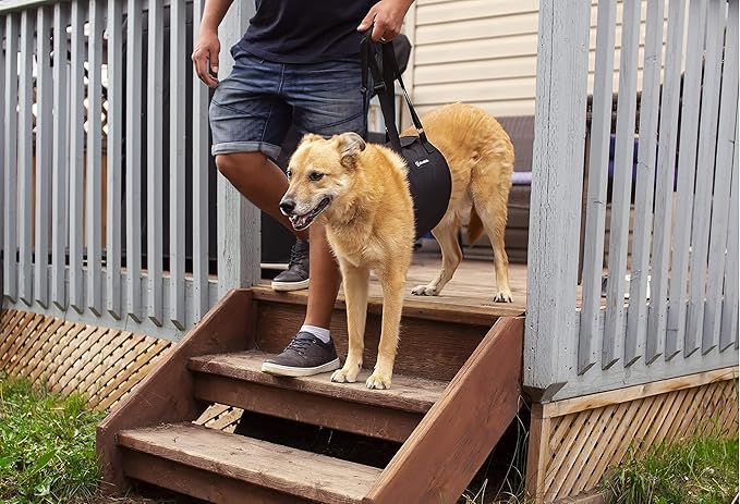 Dog Lift Sling Harness | Heavy Duty Adjustable Sling | Easy Full Body Mobility | Support for Elderly, Senior Dogs with Front/Rear Leg, Knee, Joint, Hip Injuries (XX-Large) Black