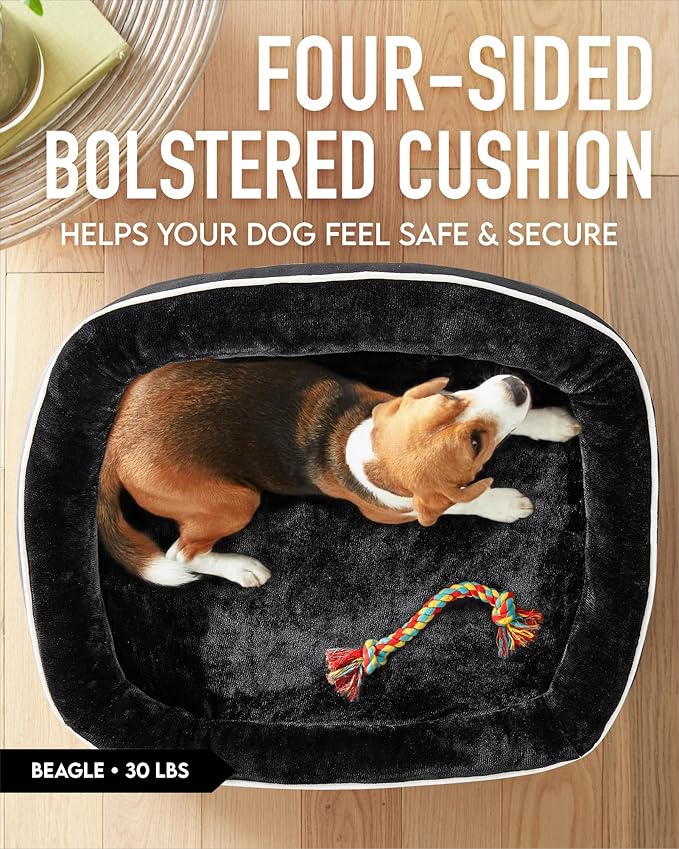 OhGeni Orthopedic Dog Bed for Large Dogs, Dog Couch Design with Egg Foam Support, Removable, Machine Washable Plush Cover and Non-Slip Bottom with Four Sided Bolster Cushion (Black)