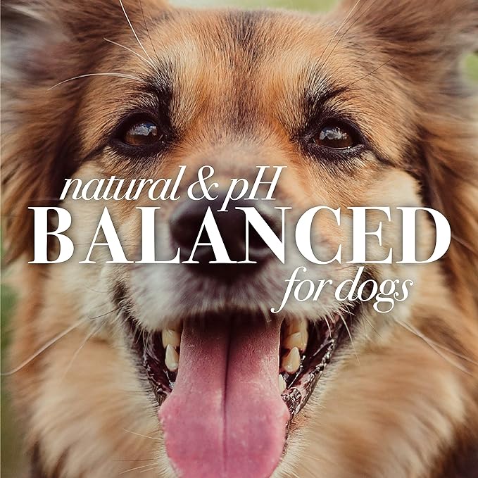 Burt's Bees for Pets Shed Control Shampoo for Dogs with Omega-3 and Vitamin E, 99.7% Natural Origin Formulas, Dog Shampoo for Reducing Shedding - Deshedding Dog Shampoo, 16 oz