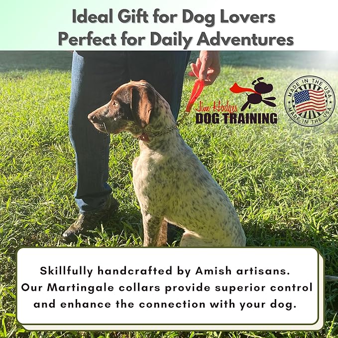 Martingale Collar for Dogs, Biothane, Stainless Steel Hardware, No Pull, Made in The USA, Professional Grade, Medium, Brown