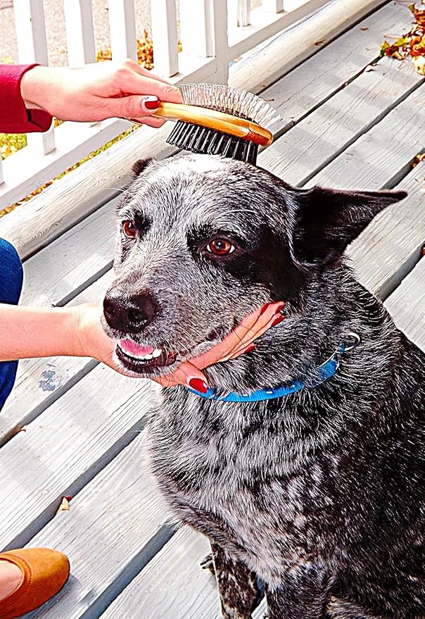 Double Sided Dog Brush - for Long or Short Haired Dogs and Cats Natural Bamboo Eco Friendly Pet Grooming Dual Sided Pin and Bristles for Deshedding Hair