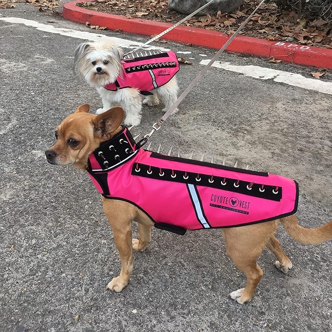 CoyoteVest SpikeVest Dog Harness Vest for Small Dogs, Reflective Dog Vest with Spikes to Shield Your pet from Coyotes, Raptor and Animal Attacks, Anti Hawk Vest, Made in USA (XS-Fluorescent Orange)