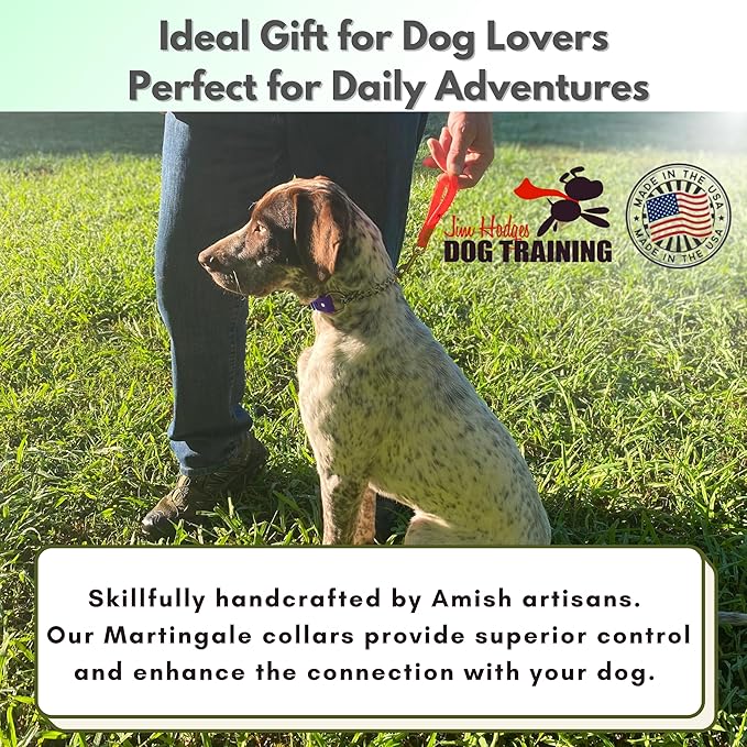 Martingale Collar for Dogs, Biothane, Stainless Steel Hardware, No Pull, Made in The USA, Professional Grade, Small, Purple