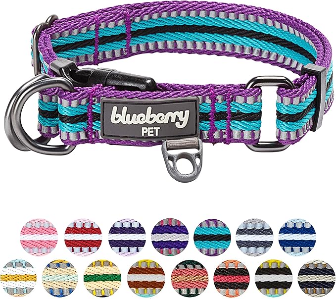 Blueberry Pet 3M Reflective Dog Collars | Adjustable Dog Collar w/Multi-Colored Stripe - Violet and River Blue | Nylon Pet Collars for Dogs & Refflective Dog Collar for Medium Dogs