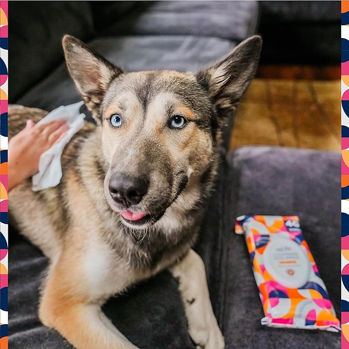 Pet Life Unlimited Pet Wipes for Dogs, Dog Cleaning Wipes - Plant-Based Dog Wipes with Moisturizing Aloe Leaf & Calendula - Made in The USA - Bergamot Apple Scent Dog Grooming Wipes - 40ct (Pack of 1)