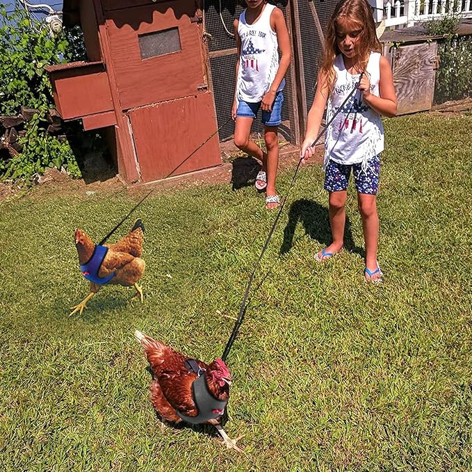 4 Pcs Adjustable Chicken Harness with Leash- 4 Styles Comfortable Hen Vest Breathable Mesh Training Harness and Leash for 2.5-3.6 Lb Duck Goose Hen Small Pets