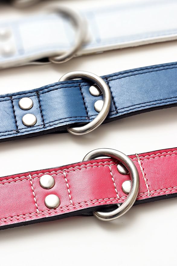 Premium Leather Collars with Stainless Steel Buckles (15"-18", Pink)