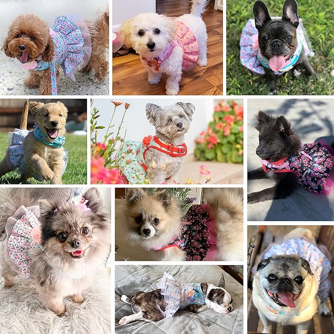 Blueberry Pet Soft & Comfy Spring Scent Inspired Floral No Pull Mesh Puppy Dog Costume Harness Dress, Pastel Blue, Chest Girth 14"-16", X-Small, Adjustable Harnesses for Dogs