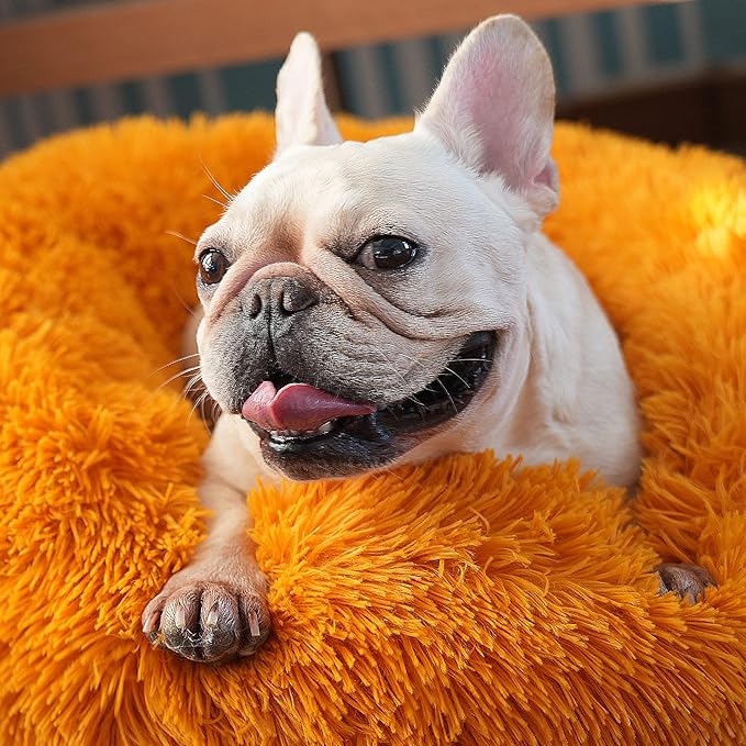 Dog Bed for Calming Dog 23 Inches Orange Anti-Anxiety Donut Puppy Bed for Small Medium Dogs Washable Fuzzy Dog Bed Fits up to 25 lbs Pets Beds for Small Dog
