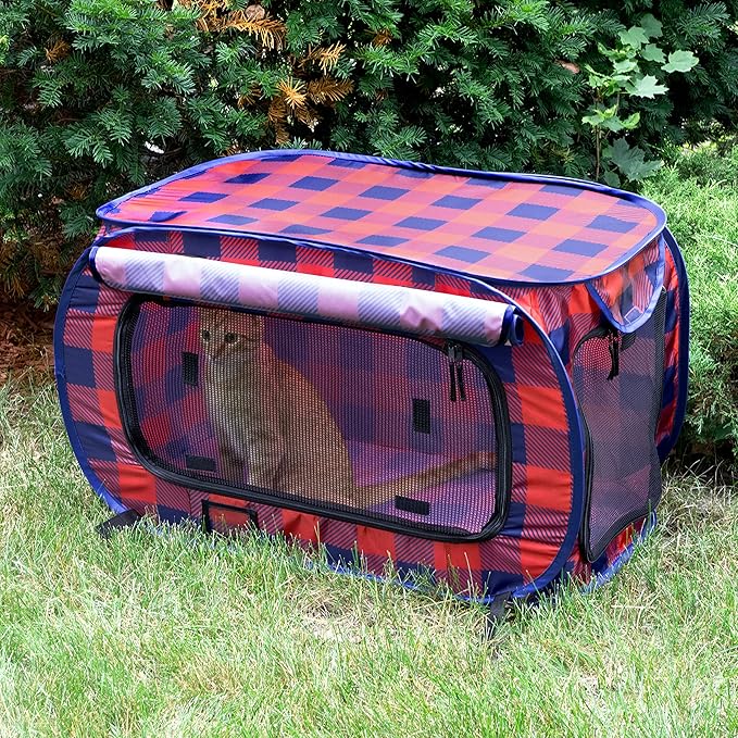 Annual Holiday Carrier