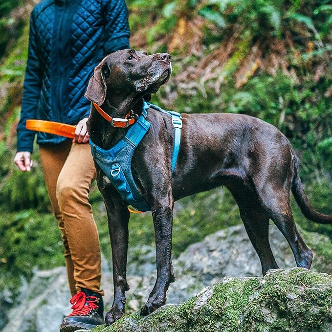 Kurgo Journey Air Dog Harness, Vest Harnesses for Dogs, Pet Hiking Harness for Running & Walking, Reflective, Padded, Includes Control Handle, No Pull Front Clip (Coastal Blue, Small)