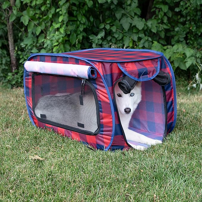 Annual Holiday Carrier