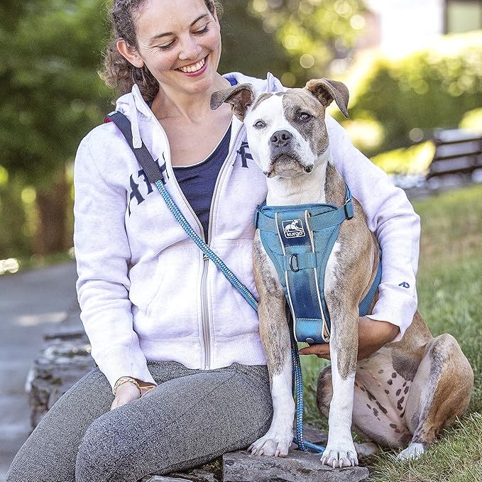 Kurgo Tru-Fit Smart Harness, Dog Harness, Pet Walking Harness, Quick Release Buckles, Front D-Ring for No Pull Training, Includes Dog Seat Belt Tether (Blue, X-Small)