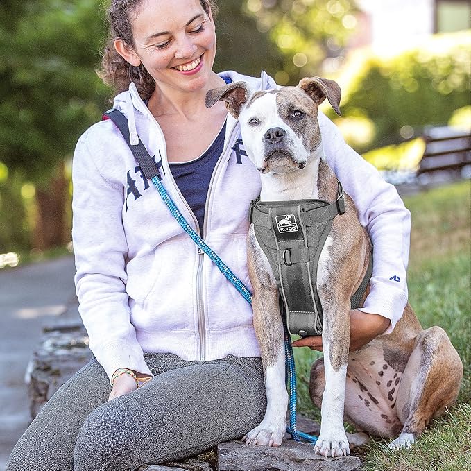 Kurgo Tru-Fit Smart Harness, Dog Harness, Pet Walking Harness, Quick Release Buckles, Front D-Ring for No Pull Training, Includes Dog Seat Belt Tether (Grey, Small)