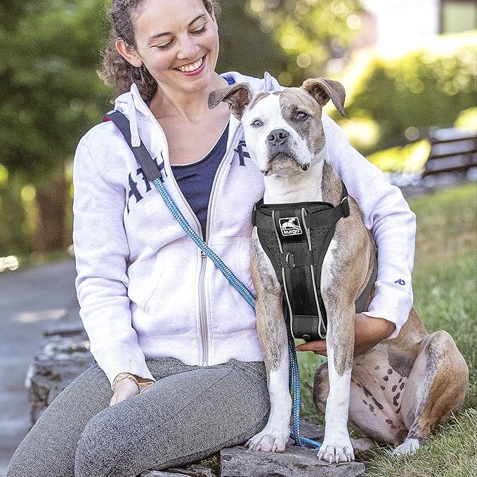Kurgo Tru-Fit Smart Harness, Dog Harness, Pet Walking Harness, Quick Release Buckles, Front D-Ring for No Pull Training, Includes Dog Seat Belt Tether (Black, X-Large)