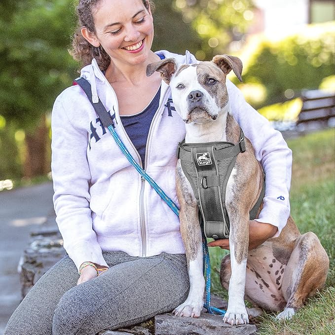 Kurgo Tru-Fit Smart Harness, Dog Harness, Pet Walking Harness, Quick Release Buckles, Front D-Ring for No Pull Training, Includes Dog Seat Belt Tether (Grey, X-Large)