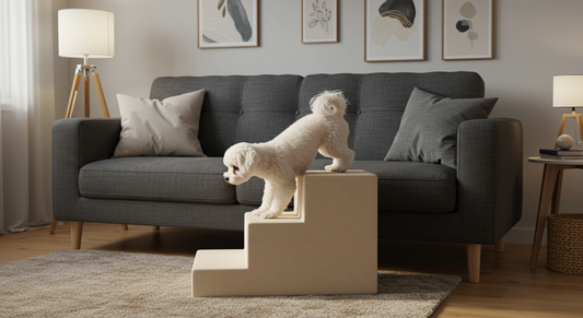 Why Dog Stairs Are Essential for Your Pet’s Safety and Comfort