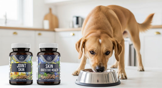 Unlock Your Pet's Optimal Health with Essential Supplements