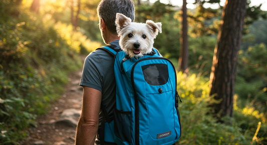 Essential Travel Accessories for Stress‑Free Trips with Your Pet