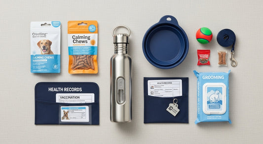 Traveling with Pets: What You Need