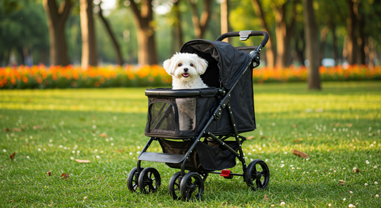 Pet Strollers & Travel Carriers: The Ultimate Guide for Pet-Friendly Mobility