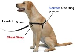 The Original Sense-ation No-Pull Dog Training Harness (Medium/Large 1", Brown)