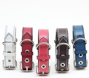 Genuine Leather Dog Collars with Stainless Steel Buckle and Double D Rings– Unbreakable! (15"-18", Tan)