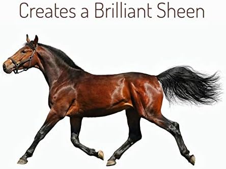 Minsheen Dog Grooming Shampoo and Conditioner, Natural Itch Relief for Dogs and Pets PH Balanced, Made in USA, 64 Concentrated Ounces