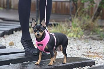 Puppia Soft Dog Harness No Choke Over-The-Head Triple Layered Breathable Mesh Adjustable Chest Belt and Quick-Release Buckle, Green, XX-Large