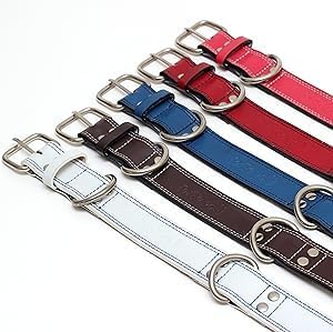 Genuine Leather Dog Collars with Stainless Steel Buckle and Double D Rings– Unbreakable! (9"-12", Tan)