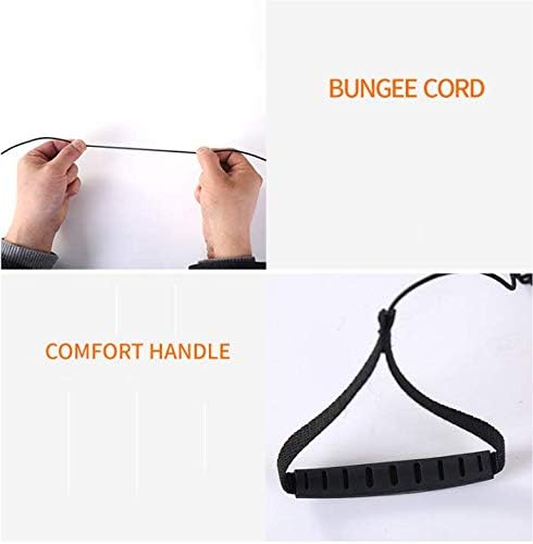 TBWHL Adjustable Parrot Bird Harness Leash Set Anti-bite Training Harness for Parrots Outdoor Flying Rope for Pigeon Grey Parrot Midsize Sulphur-Crested Cockatoo L (Yellow)