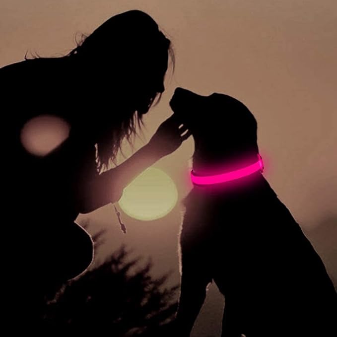 BSEEN Light up Dog Collar Lights for Night Walking - Waterproof LED Dog Collar Light Rechargeable Glow in The Dark Dog Collars for Small Dogs (Pink, Small)