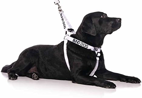 Limited Blind Dog White Color Coded Alert Warning L XL Non-Pull Dog Harness Prevents Accidents by Warning Others of Your Dog in Advance