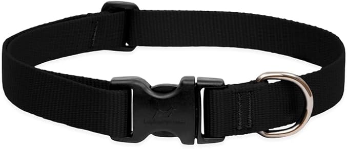 LupinePet Basics 1" Black 16-28" Adjustable Collar for Large Dogs