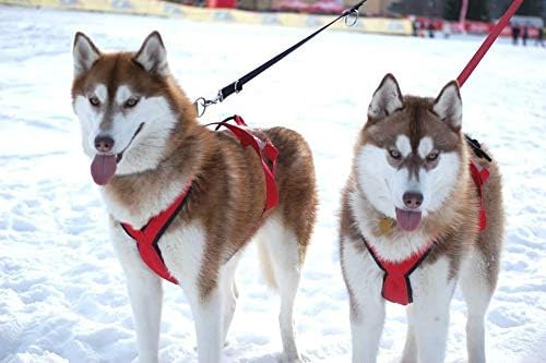 Neewa Pro Sled Dog Harness (Orange, Medium (Neck 17 Chest 29 Back 20))