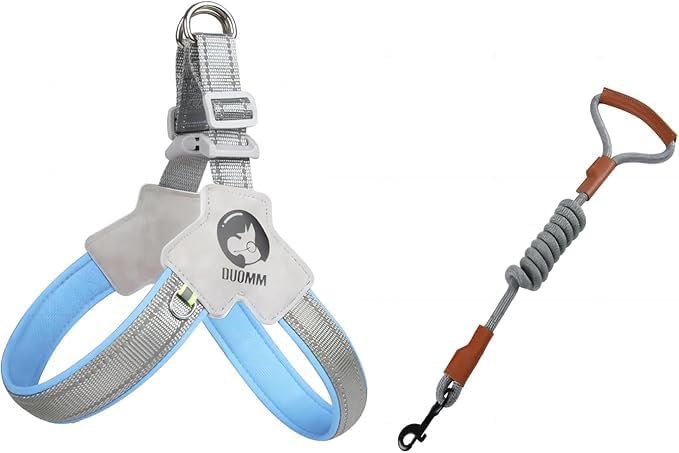 Pet Dog Cat Harness, Pet Harness with Leash Set, Adjustable Puppy Harness Comfortable Reflective Easy Control Dog with Leather Leash, No-Pull No Choke Pet Harness for Training Walking