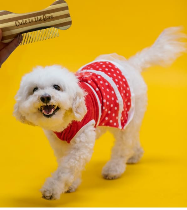 Cute to the Bone Bamboo Dog Comb