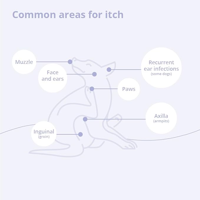 TrizCLHOR 4 Shampoo, 8 Ounce